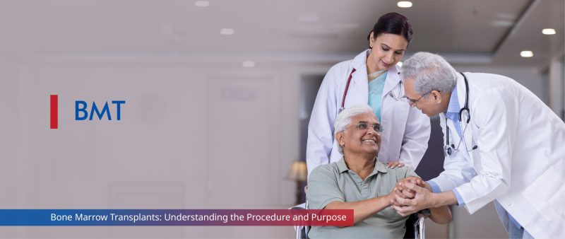 Image - Bone Marrow Transplants: Understanding the Procedure and Purpose