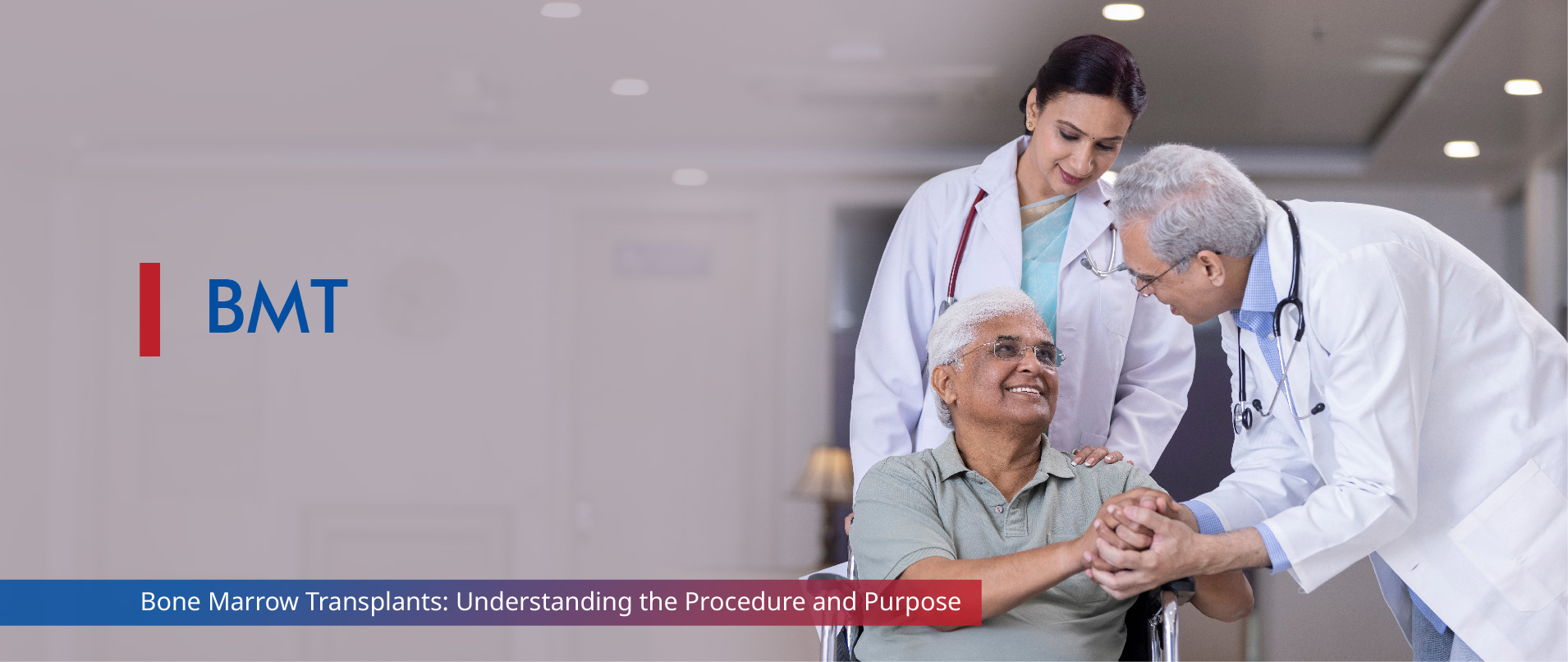 Image - Bone Marrow Transplants: Understanding the Procedure and Purpose