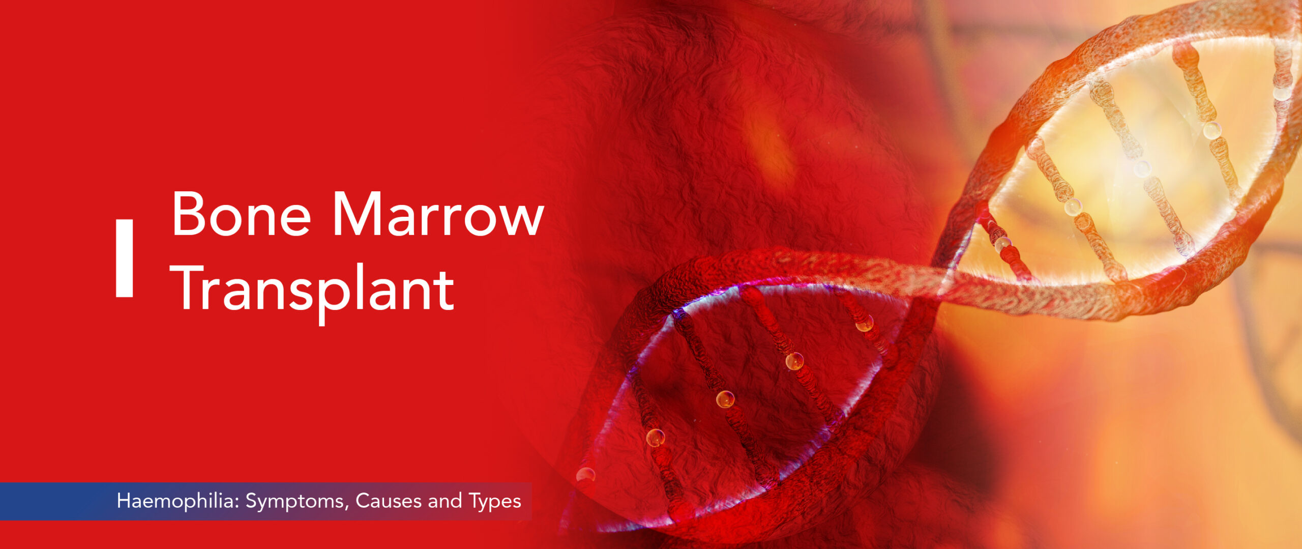 Image - Haemophilia: Symptoms, Causes, and Types