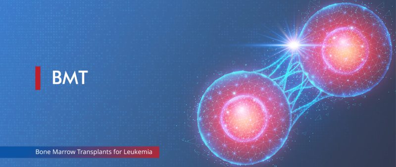 Image - Bone Marrow Transplants for Leukemia