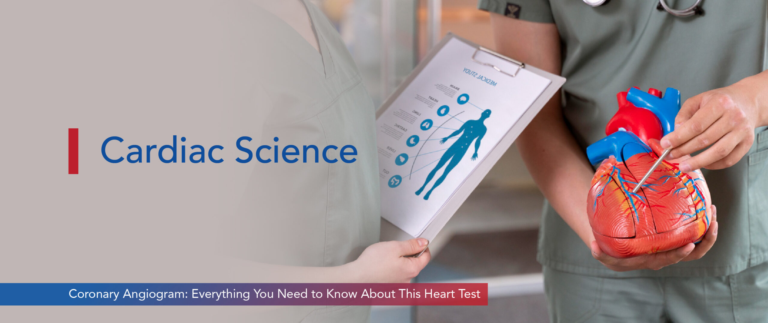 Image - Coronary Angiogram: Everything You Need to Know About This Heart Test