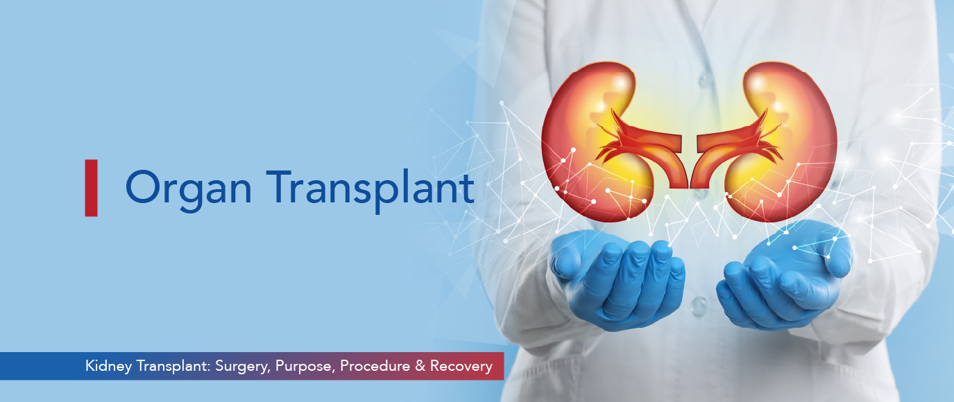 Image - Kidney Transplant: Surgery, Purpose, Procedure & Recovery