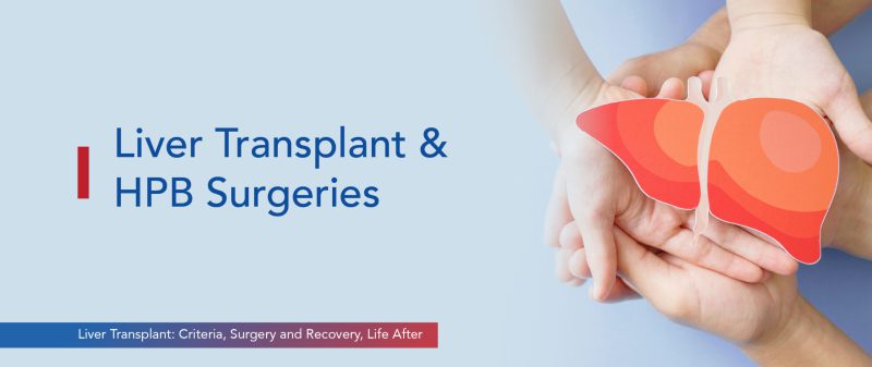 Image - Liver Transplant: Criteria, Surgery and Recovery, Life After