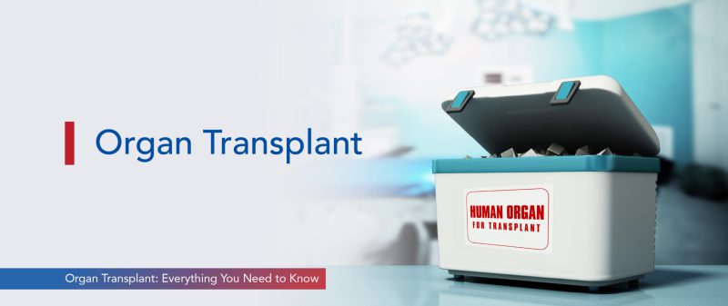 Image - Organ Transplant: Everything You Need to Know